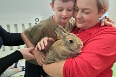 dzien-krolika-PS-25-19