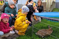 dzien-krolika-PS-25-20