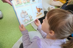 dzien-krolika-PS-25-3