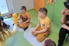 kubus-puchatek-PS-23-35