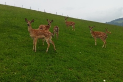 IMG_20230606_120553