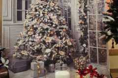 IMG-20251205-WA0138