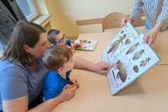 miod-PS-23-60