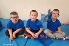 Handicap-2