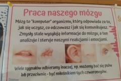 NiebieskieIgrzyska2025-14