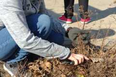 WhatsApp-Image-2026-03-