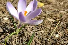 WhatsApp-Image-2026-03-13-