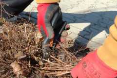 WhatsApp-Image-2026-03-13-at-