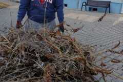 WhatsApp-Image-2026-03-13-at-21.09.0