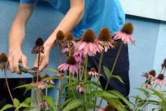 WhatsApp-Image-2025-10-03-at-18.52.311