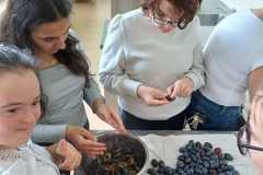 WhatsApp-Image-2025-09-17-at-20.45.381