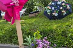 IMG-20260623-WA0015-1