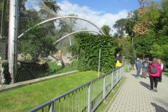 Krakow30