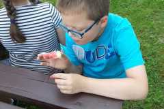 piknik-ps-lato-14