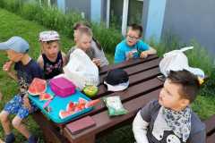 piknik-ps-lato-15