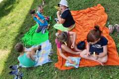 piknik-ps-lato-20