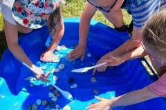 piknik-ps-lato-24