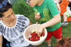 piknik-ps-lato-29