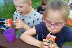 piknik-ps-lato-34