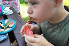 piknik-ps-lato-36