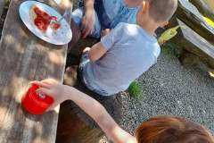 piknik-ps-lato-40