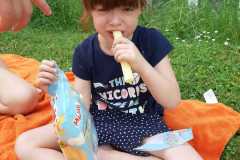 piknik-ps-lato-42
