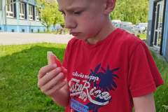 piknik-ps-lato-5
