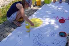 piknik-ps-lato-54