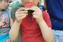 piknik-ps-lato-7