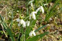 WhatsApp-Image-2026-03-20-at-11.53.04-2