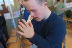 IMG-20250306-WA0017
