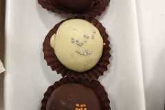 IMG-20240322-WA0013