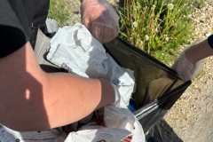 IMG-20260617-WA0020