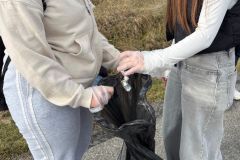 IMG-20251107-WA0084