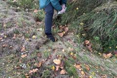 IMG-20251107-WA0094