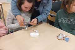 IMG-20251215-WA0029-1