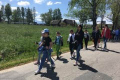 Nordic-Walking-7