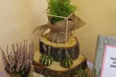 IMG-20231126-WA0079