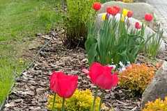 WhatsApp-Image-2025-05-05-at-13.39.183