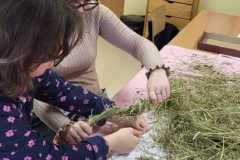 IMG-20251218-WA0016