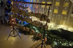 20251218_171057-scaled