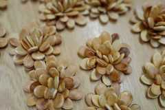 WhatsApp-Image-2026-03-23-at-08.51.04-7