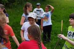 IMG_20220607_111712