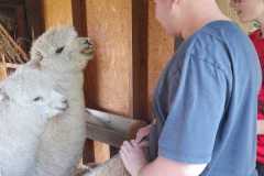 IMG-20220530-WA0007