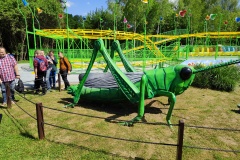 IMG20220523102824