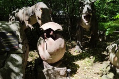 IMG20220523114637