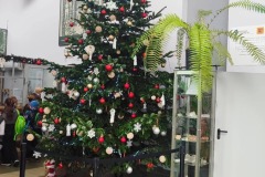 Wyjscie-z-klasa-–-ponad-230-metrow-pod-ziemia-1