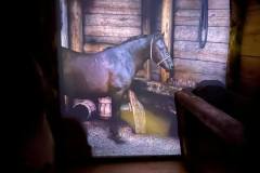 Wyjscie-z-klasa-–-ponad-230-metrow-pod-ziemia-7