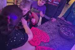 IMG-20251126-WA0010