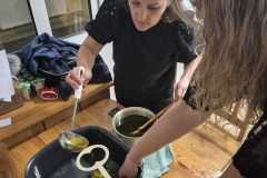 IMG-20251126-WA0106
